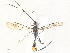  ( - CBG-A31840-H02)  @11 [ ] CreativeCommons - Attribution Share - Alike (2024) CBG Photography Group Centre for Biodiversity Genomics