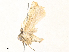  ( - CBG-A31840-H08)  @11 [ ] CreativeCommons - Attribution Share - Alike (2024) CBG Photography Group Centre for Biodiversity Genomics