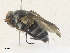  ( - CBG-A33508-A03)  @11 [ ] CreativeCommons - Attribution Share - Alike (2024) CBG Photography Group Centre for Biodiversity Genomics