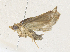  ( - CBG-A34311-C05)  @11 [ ] CreativeCommons - Attribution Share - Alike (2024) CBG Photography Group Centre for Biodiversity Genomics