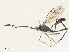  ( - CBG-A36737-E02)  @11 [ ] CreativeCommons - Attribution Share - Alike (2024) CBG Photography Group Centre for Biodiversity Genomics