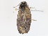 ( - CBG-A07038-G03)  @11 [ ] CreativeCommons - Attribution Share - Alike (2023) CBG Photography Group Centre for Biodiversity Genomics