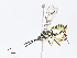  ( - CBG-A07039-B09)  @11 [ ] CreativeCommons - Attribution Share - Alike (2023) CBG Photography Group Centre for Biodiversity Genomics