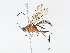  ( - CBG-A07039-F12)  @11 [ ] CreativeCommons - Attribution Share - Alike (2023) CBG Photography Group Centre for Biodiversity Genomics
