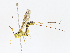  ( - CBG-A13200-A06)  @11 [ ] CreativeCommons - Attribution Share - Alike (2023) CBG Photography Group Centre for Biodiversity Genomics