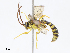  ( - CBG-A13200-A09)  @11 [ ] CreativeCommons - Attribution Share - Alike (2023) CBG Photography Group Centre for Biodiversity Genomics