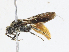  ( - CBG-A13200-B02)  @11 [ ] CreativeCommons - Attribution Share - Alike (2023) CBG Photography Group Centre for Biodiversity Genomics