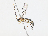  ( - CBG-A13202-D06)  @11 [ ] CreativeCommons - Attribution Share - Alike (2023) CBG Photography Group Centre for Biodiversity Genomics