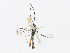  ( - CBG-A13202-D10)  @11 [ ] CreativeCommons - Attribution Share - Alike (2023) CBG Photography Group Centre for Biodiversity Genomics