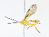  ( - CBG-A13202-G11)  @11 [ ] CreativeCommons - Attribution Share - Alike (2023) CBG Photography Group Centre for Biodiversity Genomics