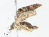  ( - CBG-A13203-F12)  @11 [ ] CreativeCommons - Attribution Share - Alike (2023) CBG Photography Group Centre for Biodiversity Genomics