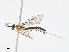  ( - CBG-A13204-C07)  @11 [ ] CreativeCommons - Attribution Share - Alike (2023) CBG Photography Group Centre for Biodiversity Genomics