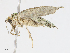  ( - CBG-A13204-E03)  @11 [ ] CreativeCommons - Attribution Share - Alike (2023) CBG Photography Group Centre for Biodiversity Genomics