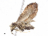  ( - CBG-A13206-H05)  @11 [ ] CreativeCommons - Attribution Share - Alike (2023) CBG Photography Group Centre for Biodiversity Genomics