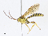 ( - CBG-A13207-C09)  @11 [ ] CreativeCommons - Attribution Share - Alike (2023) CBG Photography Group Centre for Biodiversity Genomics