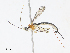  ( - CBG-A13207-D10)  @11 [ ] CreativeCommons - Attribution Share - Alike (2023) CBG Photography Group Centre for Biodiversity Genomics