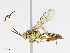  ( - CBG-A13207-F02)  @11 [ ] CreativeCommons - Attribution Share - Alike (2023) CBG Photography Group Centre for Biodiversity Genomics