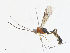  ( - CBG-A13208-A02)  @11 [ ] CreativeCommons - Attribution Share - Alike (2023) CBG Photography Group Centre for Biodiversity Genomics