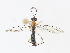  ( - CBG-A13208-A12)  @11 [ ] CreativeCommons - Attribution Share - Alike (2023) CBG Photography Group Centre for Biodiversity Genomics