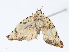  ( - CBG-A13208-C10)  @11 [ ] CreativeCommons - Attribution Share - Alike (2023) CBG Photography Group Centre for Biodiversity Genomics