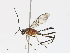  ( - CBG-A13232-A07)  @11 [ ] CreativeCommons - Attribution Share-Alike (2023) CBG Photography Group Centre for Biodiversity Genomics