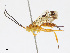  ( - CBG-A13232-A08)  @11 [ ] CreativeCommons - Attribution Share-Alike (2023) CBG Photography Group Centre for Biodiversity Genomics