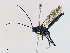  ( - CBG-A13285-E02)  @11 [ ] CreativeCommons - Attribution Share-Alike (2023) CBG Photography Group Centre for Biodiversity Genomics