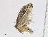  ( - CBG-A13285-F05)  @11 [ ] CreativeCommons - Attribution Share-Alike (2023) CBG Photography Group Centre for Biodiversity Genomics