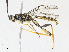  ( - CBG-A13298-E08)  @11 [ ] CreativeCommons - Attribution Share - Alike (2023) CBG Photography Group Centre for Biodiversity Genomics