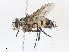  ( - CBG-A13299-B07)  @11 [ ] CreativeCommons - Attribution Share - Alike (2023) CBG Photography Group Centre for Biodiversity Genomics