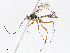  ( - CBG-A13300-A05)  @11 [ ] CreativeCommons - Attribution Share - Alike (2023) CBG Photography Group Centre for Biodiversity Genomics