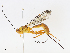  ( - CBG-A13301-F10)  @11 [ ] CreativeCommons - Attribution Share - Alike (2023) CBG Photography Group Centre for Biodiversity Genomics
