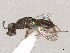  ( - CBG-A13428-G09)  @11 [ ] CreativeCommons - Attribution Share - Alike (2025) CBG Photography Group Centre for Biodiversity Genomics
