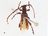  ( - CBG-A10807-D03)  @11 [ ] CreativeCommons - Attribution Share - Alike (2023) CBG Photography Group Centre for Biodiversity Genomics