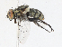  ( - CBG-A10809-D04)  @11 [ ] CreativeCommons - Attribution Share - Alike (2023) CBG Photography Group Centre for Biodiversity Genomics