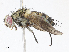  ( - CBG-A10809-G09)  @11 [ ] CreativeCommons - Attribution Share - Alike (2023) CBG Photography Group Centre for Biodiversity Genomics