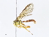  ( - CBG-A10810-D07)  @11 [ ] CreativeCommons - Attribution Share - Alike (2023) CBG Photography Group Centre for Biodiversity Genomics