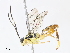  ( - CBG-A10810-G09)  @11 [ ] CreativeCommons - Attribution Share - Alike (2023) CBG Photography Group Centre for Biodiversity Genomics