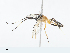  ( - CBG-A10810-G12)  @11 [ ] CreativeCommons - Attribution Share - Alike (2023) CBG Photography Group Centre for Biodiversity Genomics