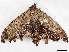 ( - CBG-A10811-B11)  @11 [ ] CreativeCommons - Attribution Share - Alike (2023) CBG Photography Group Centre for Biodiversity Genomics