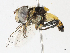  ( - CBG-A10811-C11)  @11 [ ] CreativeCommons - Attribution Share - Alike (2023) CBG Photography Group Centre for Biodiversity Genomics