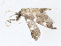  ( - CBG-A10812-A10)  @11 [ ] CreativeCommons - Attribution Share - Alike (2023) CBG Photography Group Centre for Biodiversity Genomics