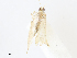  ( - CBG-A10812-C11)  @11 [ ] CreativeCommons - Attribution Share - Alike (2023) CBG Photography Group Centre for Biodiversity Genomics