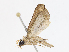  ( - CBG-A10812-D05)  @11 [ ] CreativeCommons - Attribution Share - Alike (2023) CBG Photography Group Centre for Biodiversity Genomics