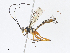  ( - CBG-A13297-B10)  @11 [ ] CreativeCommons - Attribution Share - Alike (2023) CBG Photography Group Centre for Biodiversity Genomics