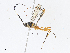  ( - CBG-A13297-B11)  @11 [ ] CreativeCommons - Attribution Share - Alike (2023) CBG Photography Group Centre for Biodiversity Genomics