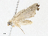  ( - CBG-A05383-D11)  @11 [ ] CreativeCommons - Attribution (2023) CBG Photography Group Centre for Biodiversity Genomics