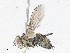 ( - CBG-A05385-E04)  @11 [ ] CreativeCommons - Attribution (2023) CBG Photography Group Centre for Biodiversity Genomics
