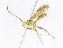  ( - CBG-A06254-C04)  @11 [ ] CreativeCommons - Attribution (2023) CBG Photography Group Centre for Biodiversity Genomics