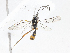  ( - CBG-A06256-F03)  @11 [ ] CreativeCommons - Attribution (2023) CBG Photography Group Centre for Biodiversity Genomics